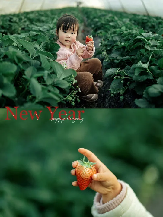 一个小女孩在农场抱着一个小孩子吃草莓。