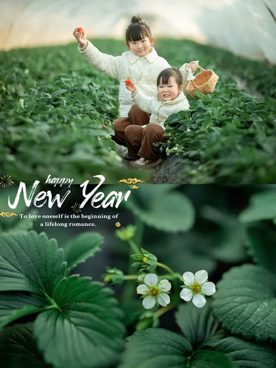 草莓花田中的小女孩们