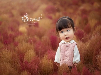 一张小女孩站在红色花朵田里的照片