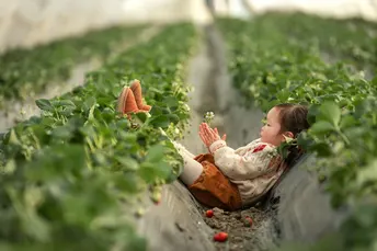 一个小女孩坐在草莓地里 正在摘草莓 而一个妇女在背景里摘植物。