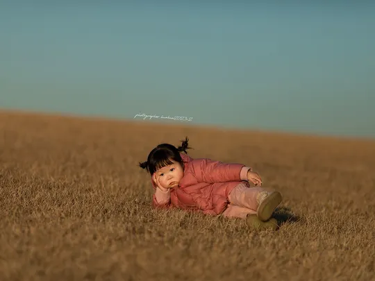 一个年轻女孩坐在麦田里 草地上躺着一只小风筝。
