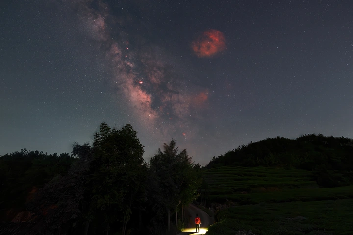 茶园星空