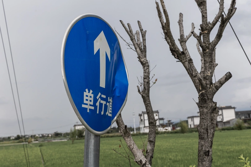 一条蓝色的路标 箭头指向一片田野中的一棵树。