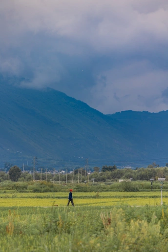 一个穿过绿色草地的男人