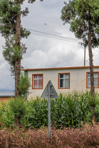 一个小建筑前面有树