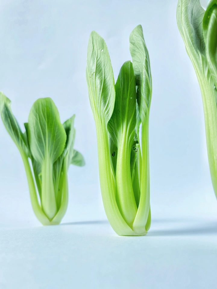 青菜的风姿
