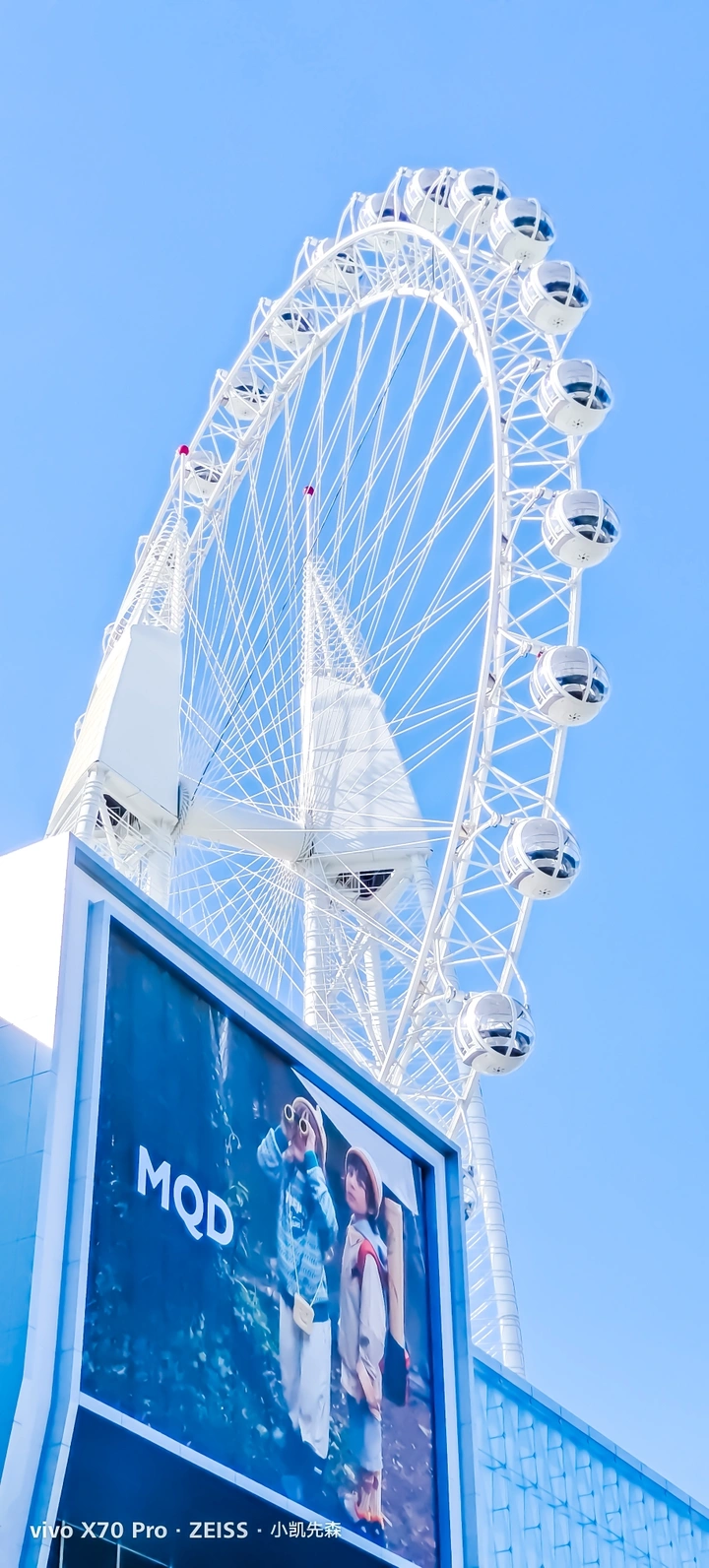 摩天轮🎡