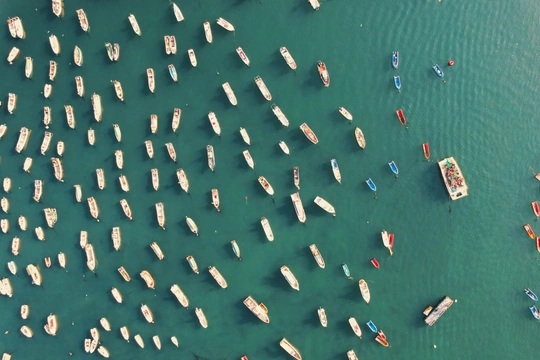 许多渔船和人在水中的一片海湾的空中视角