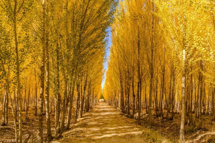 金秋十月，醉美赤峰