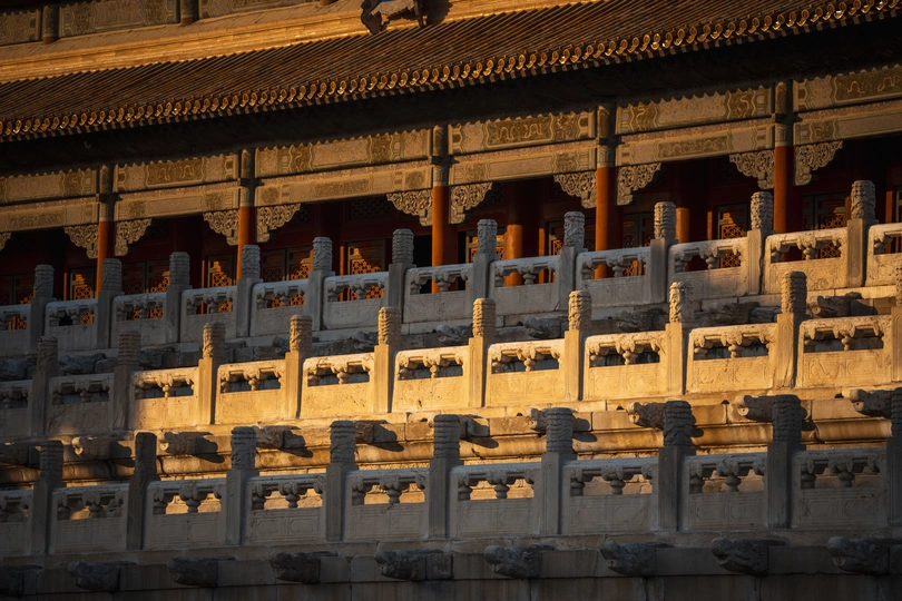 一只鸟站在一栋建筑物的墙上