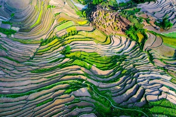 梯田和山峦的景观