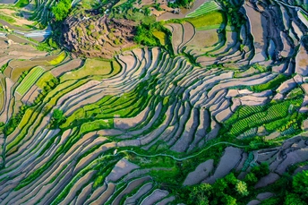 河岸梯田 背景为山脉
