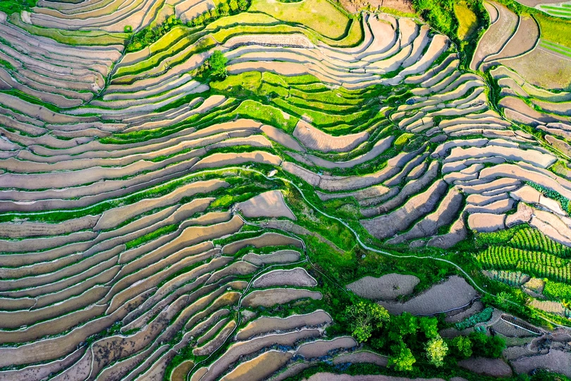 梯田和绿山景观