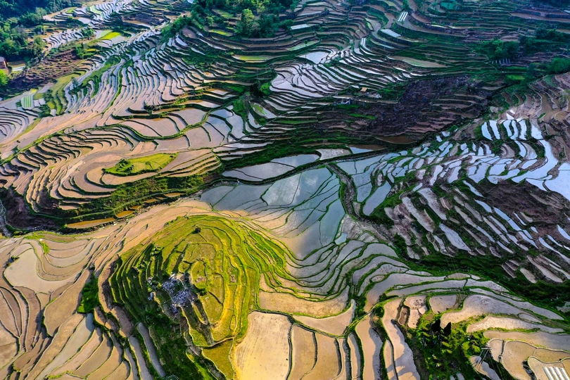 梯田和山峦的景观