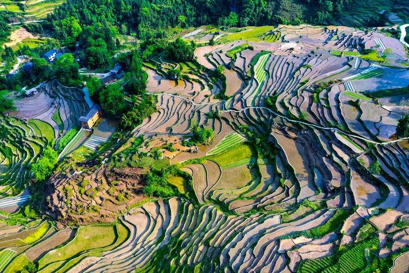 梯田的风景 背景是山脉
