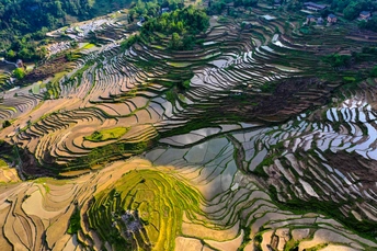 背景是山峦的梯田景观