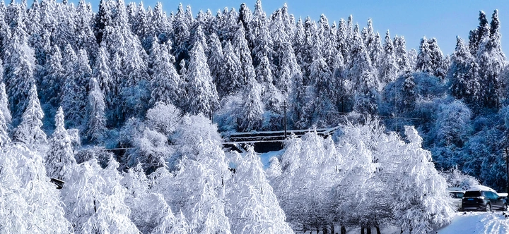 仙女雪景