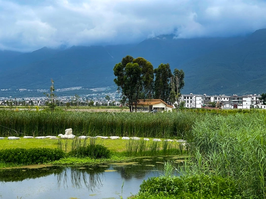 一片小水域 草地上 背景是一座城市