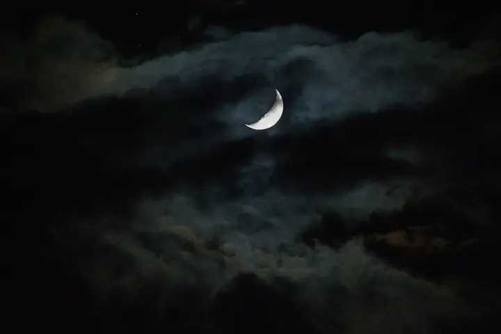 洱海月