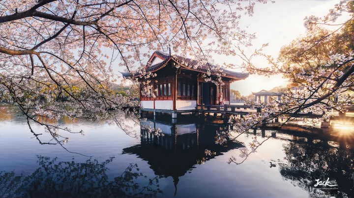 杭州曲院风荷