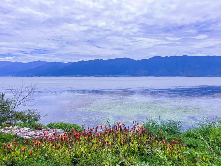 大理洱海与理想邦