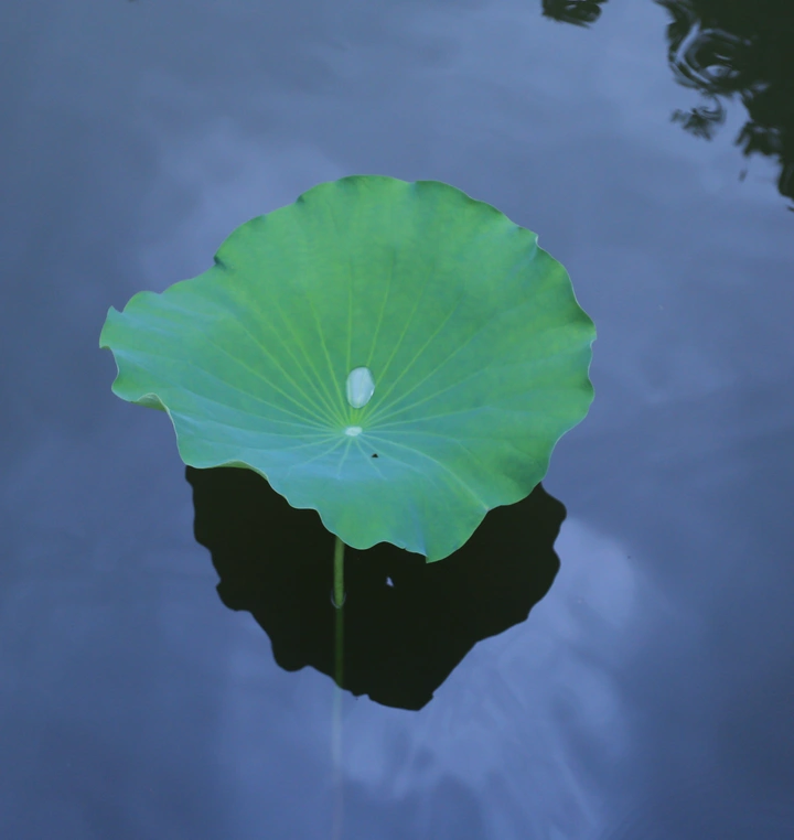 雨水与阳光同在