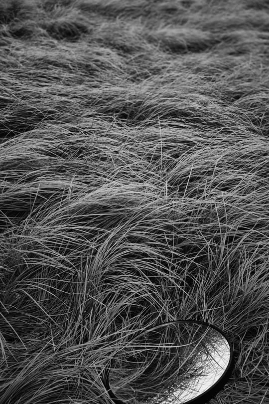 一把勺子在茂密的草丛中