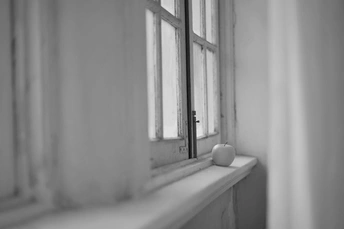 黑白窗户台上的一个苹果