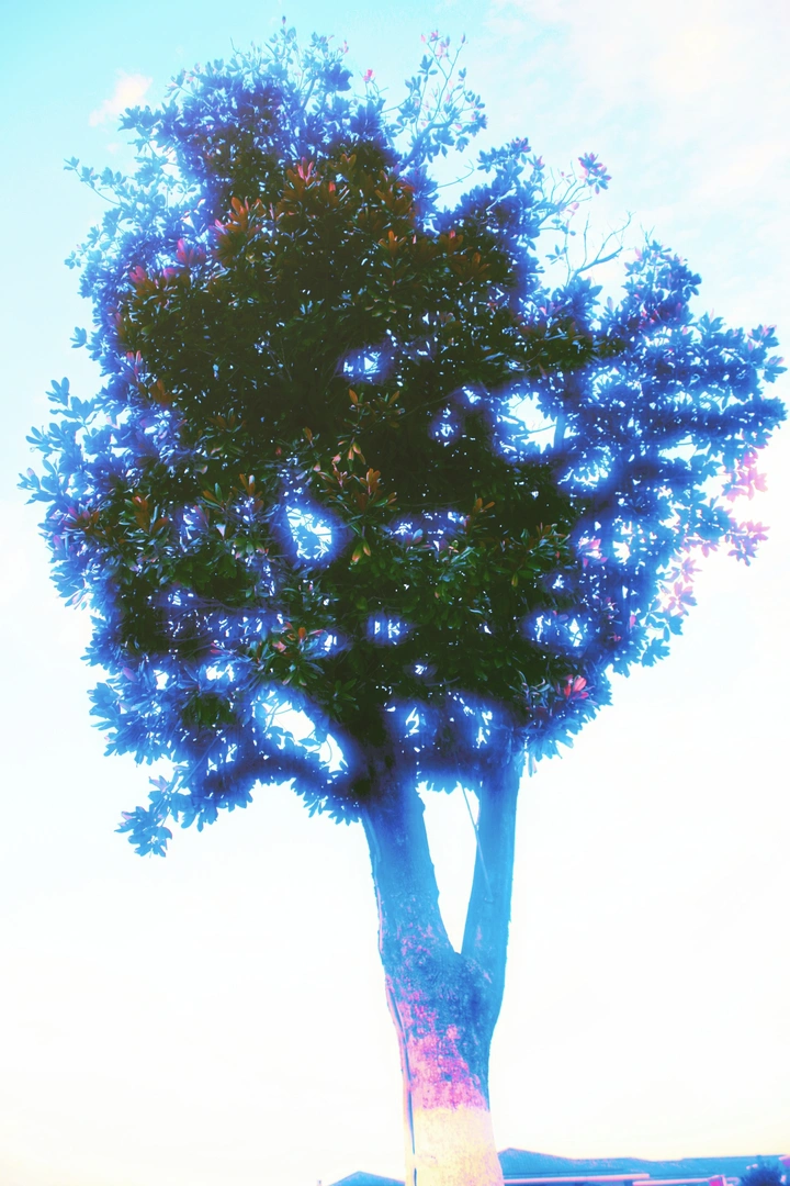 幻