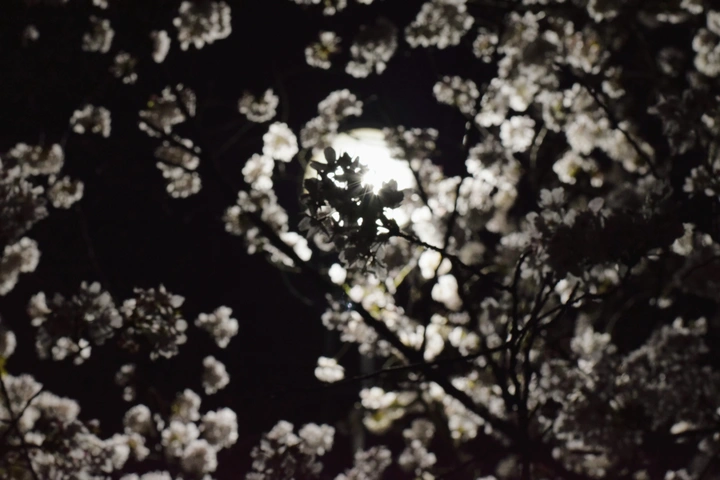 夜色