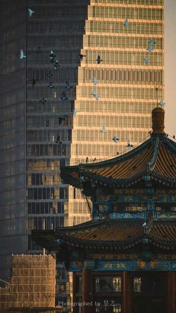 城市中一座高楼前有一座佛塔 鸟儿在附近飞翔。