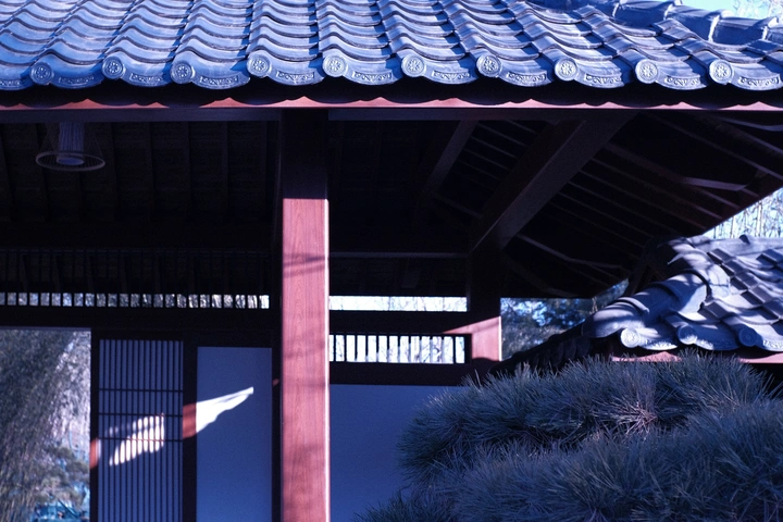 浅羽庭院