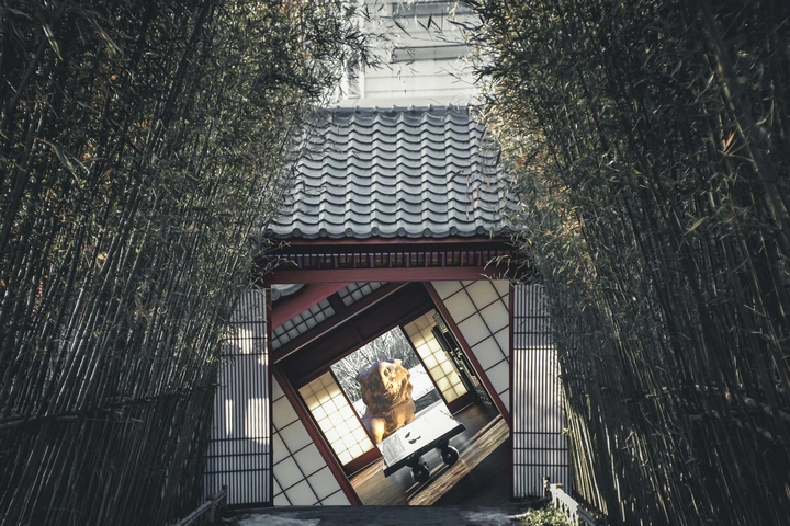 幻庭