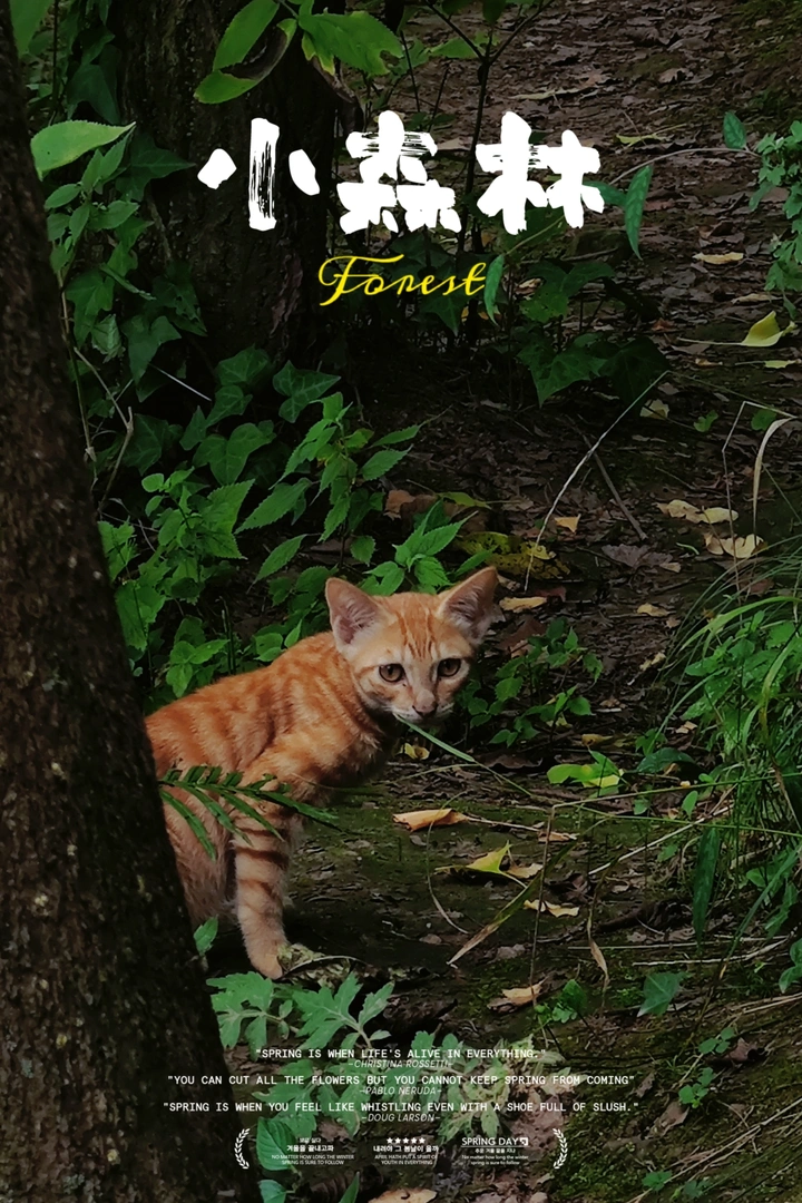 探