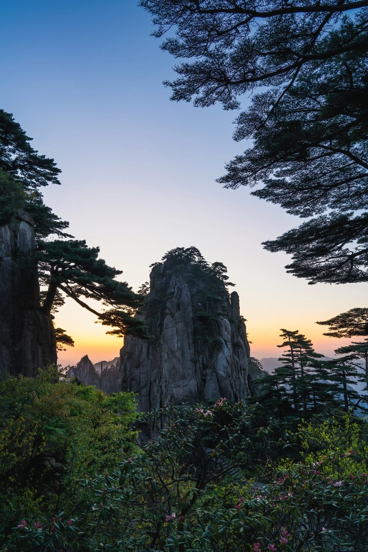 山野林间