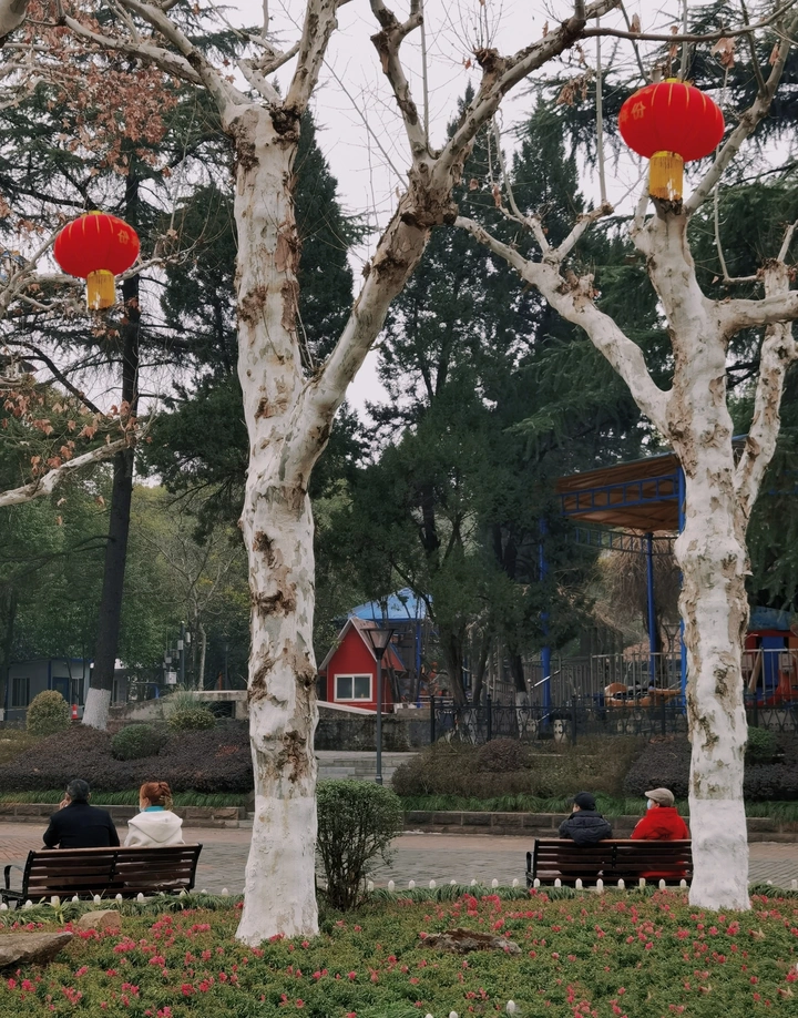 春天里