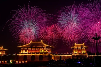 夜晚天空中烟花绽放 城市熠熠生辉。