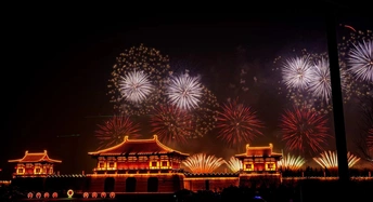 夜晚天空中烟花绽放 城市熠熠生辉。