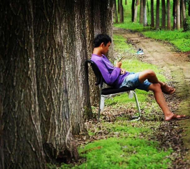 一个年轻男子坐在树林中的一把椅子上 旁边有一棵树。