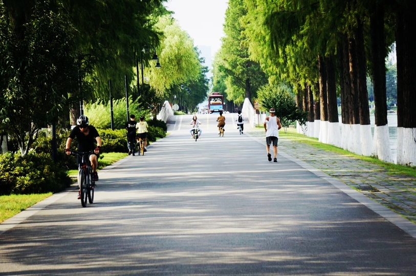 人们在道路两侧种满树木的自行车道上骑自行车