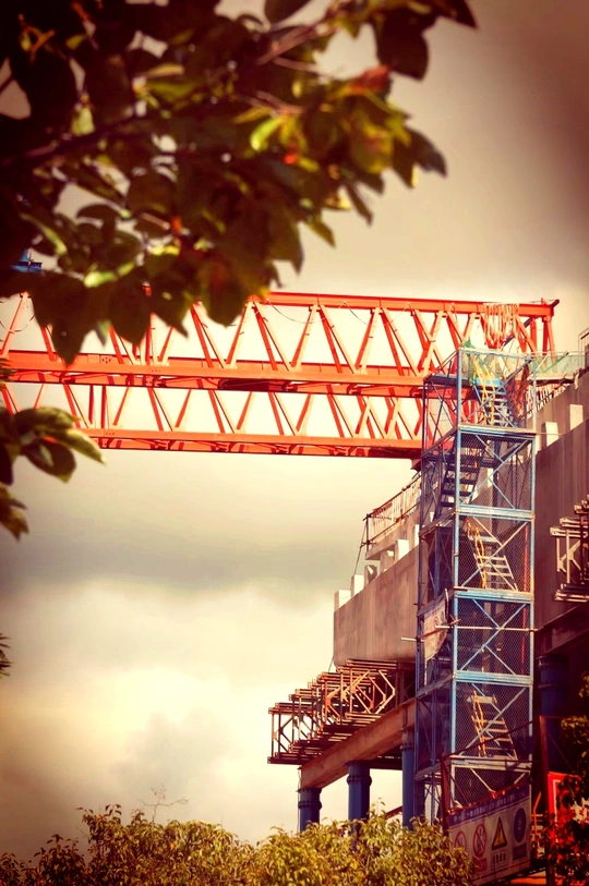 红色鹤鸟在正在建造的大楼旁边