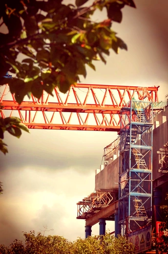 红色鹤鸟在正在建造的大楼旁边