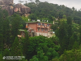 山顶上的房子被树木和岩石环绕的森林