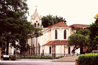 一座古老的白色教堂 位于一排树木环绕的街道上。