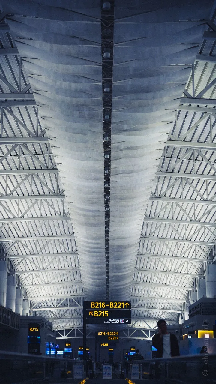 ✈️出发.