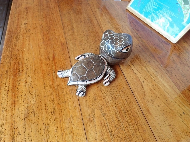 马尔代夫神仙珊瑚岛浮潜海底世界拍摄