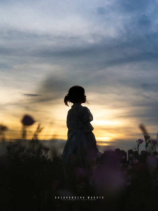 一个小女孩站在花丛中 太阳落山了。