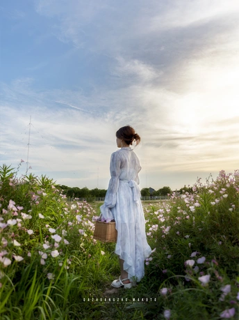 一个穿着白色连衣裙的年轻女子 手拿篮子穿过一片花田。