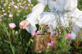 一位穿着白裙子的年轻女子在田地里 picking 花朵 小女孩坐在草地上。