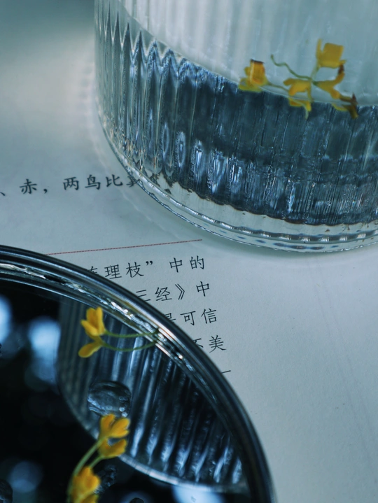 一杯水 旁边有一朵黄色的花。